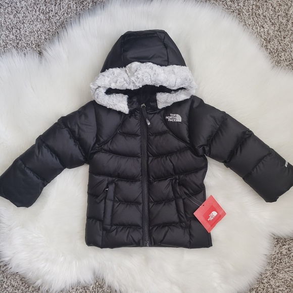 The North Face Other - North Face Toddler Puffer Jacket